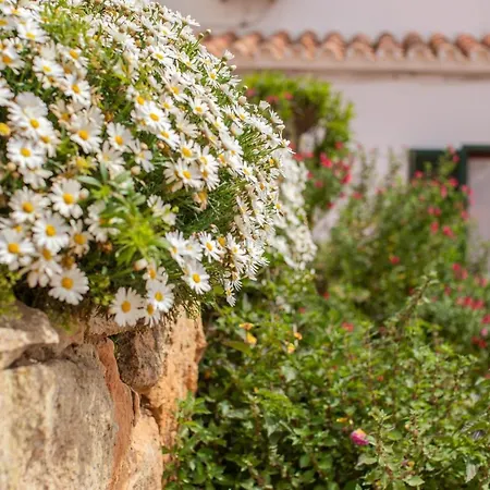 Poblat 86 Lejlighed *