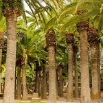 Poblat 86 Lägenhet Cala Blanca (Menorca)