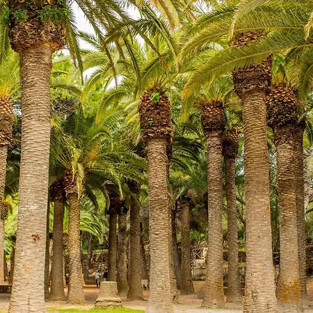 Apartament Poblat 86 Cala Blanca (Menorca)