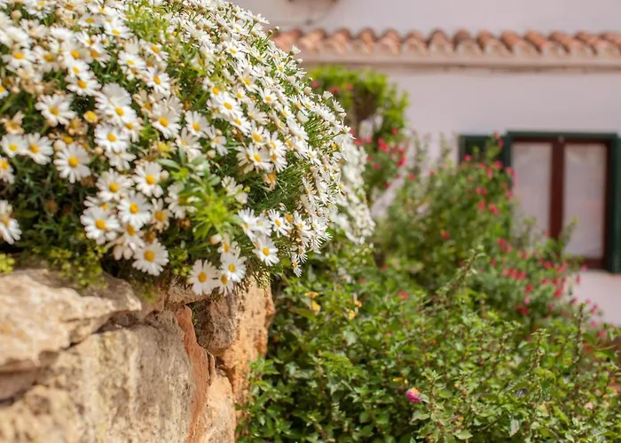 Poblat 86 Appartamento *