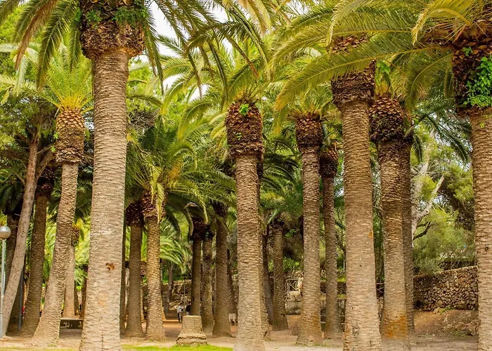 Appartamento Poblat 86 Cala Blanca (Menorca)